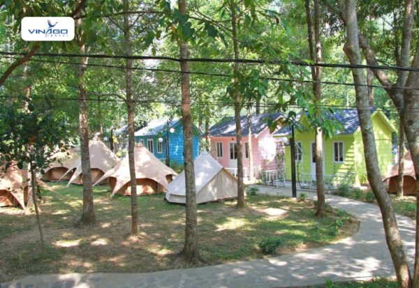 Hoa Phu Thanh Ticket