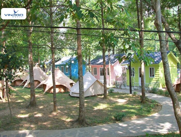 Hoa Phu Thanh Ticket