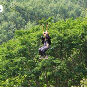 Hoa Phu Thanh Ticket