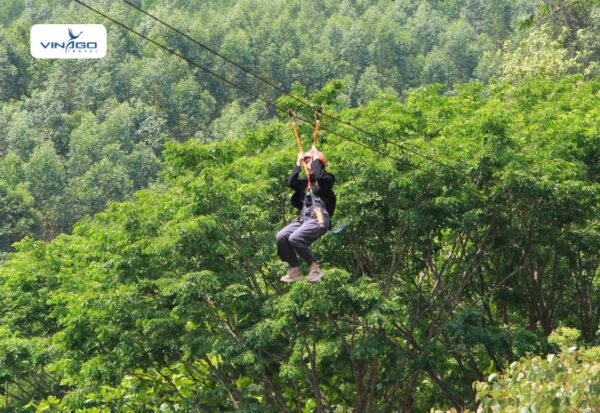 Hoa Phu Thanh Ticket
