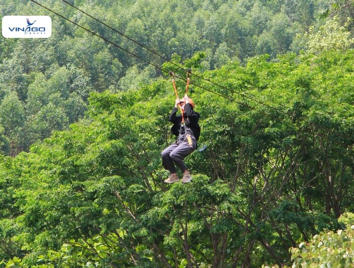 Hoa Phu Thanh Ticket
