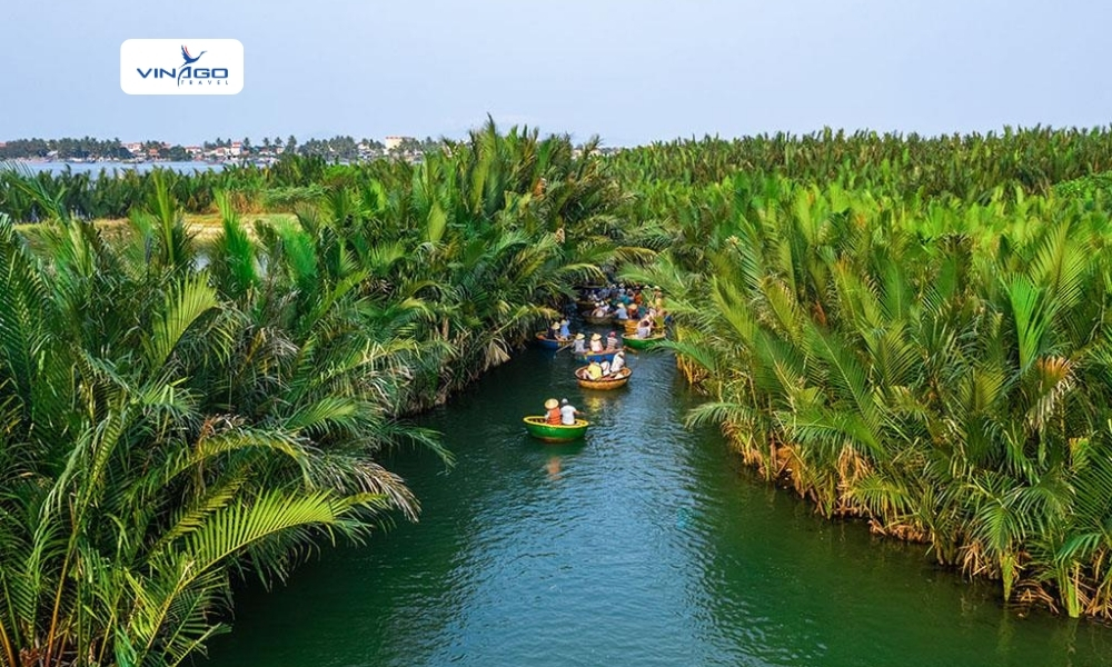 Coconut Forest